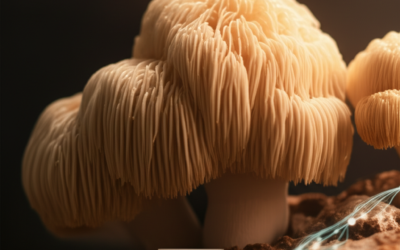 Lion’s Mane for Focus: Benefits, Dosage, and Cognitive Support Guide